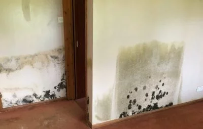 Water Leaks