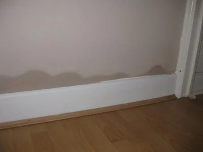 mould issues
